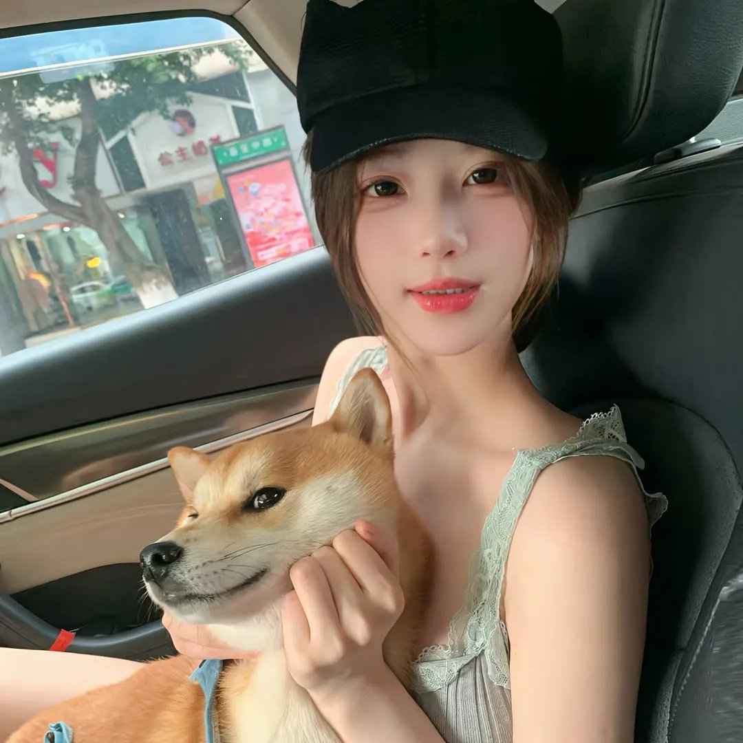 动物